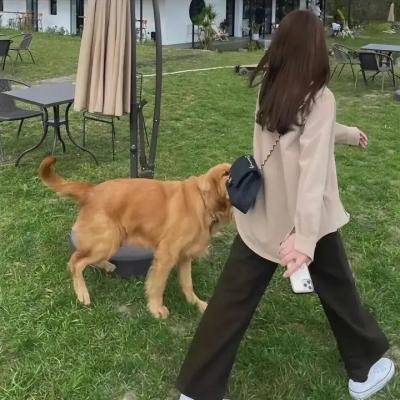 恋爱舞台